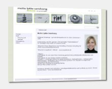 www.mettesandvang.dk